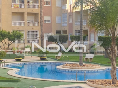 Lovely studio apartment with terrace and swimming pool next to the Parque des Nations in Torrevieja.