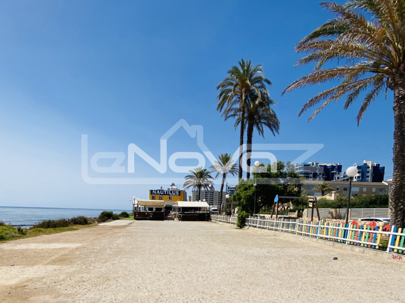 HOLIDAY APARTMENT 100 METERS FROM THE BEACH Punta Prima. #1032