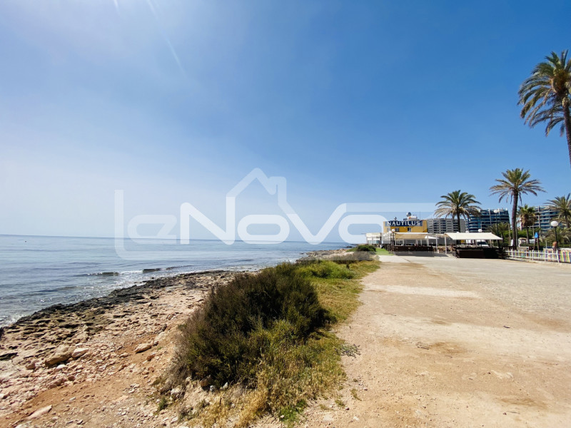 HOLIDAY APARTMENT 100 METERS FROM THE BEACH Punta Prima. #1032