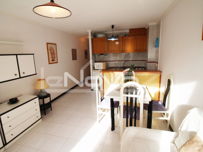 Spacious 1 bedroom apartment with pool view terrace just 300m from de la Cura and de los Locos beaches in Torrevieja.. #1243