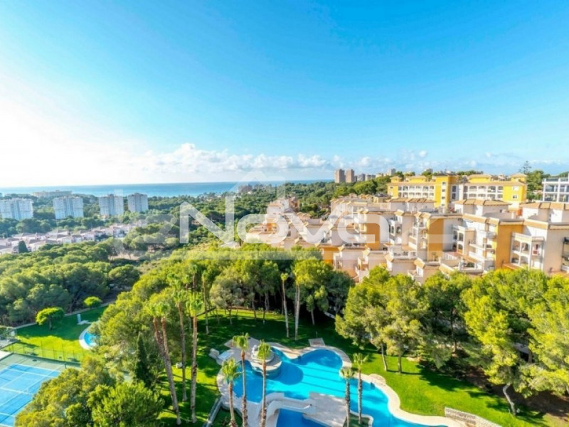 apartment 2 bedrooms Campoamor. #1263