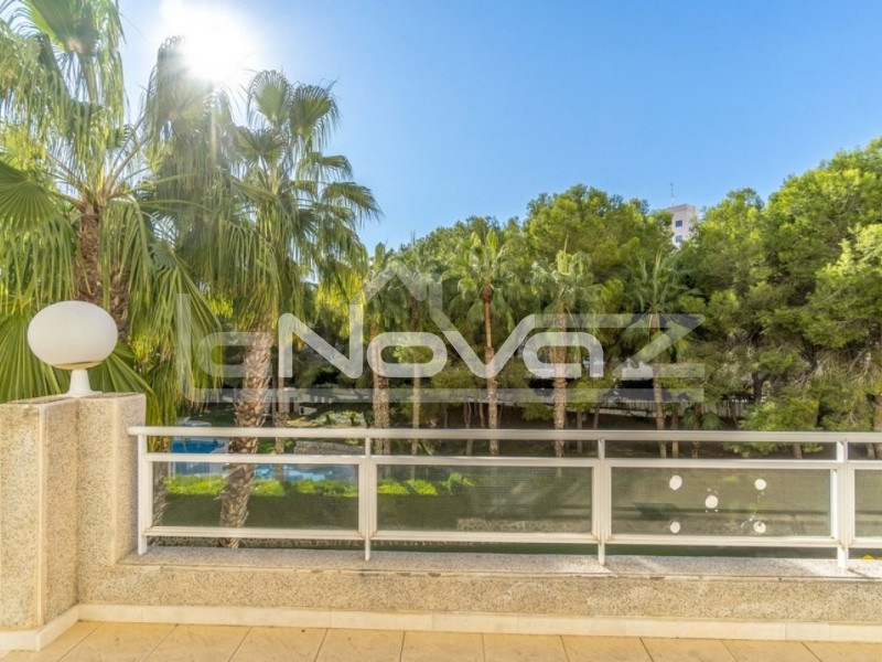 apartment 2 bedrooms Campoamor. #1263