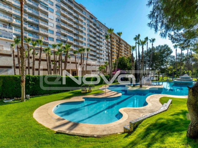 apartment 2 bedrooms Campoamor. #1263