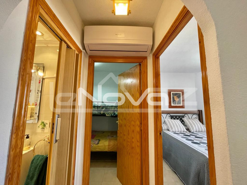 apartment 2 bedrooms Torrevieja. #1297