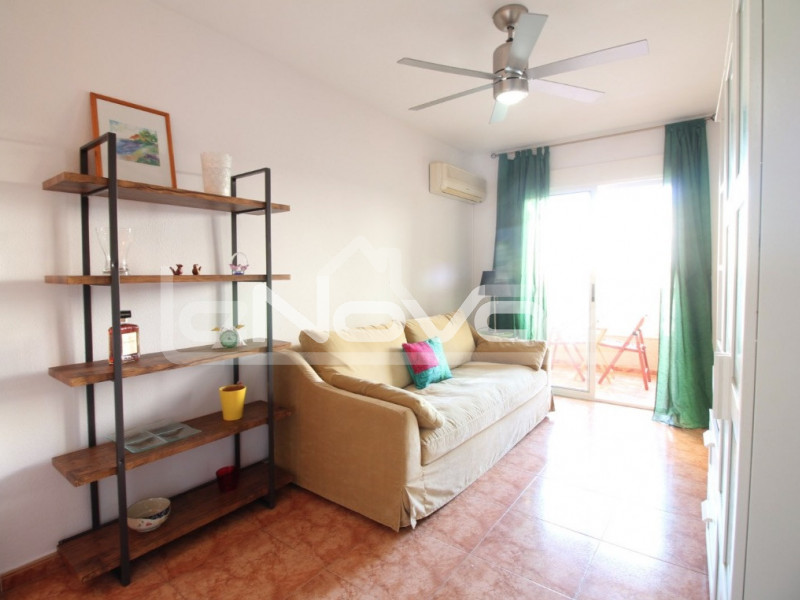 Przestronny, dobrze utrzymany apartament z 1 sypialnią z tarasem wychodzącym na południe i basenem w Torrevieja.. #1368