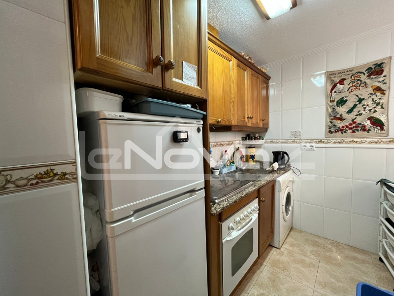 Very spacious studio apartment with swimming pool and terrace next to the Parque des Nations in Torrevieja.. #1402