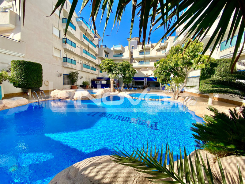 Apartment in Cabo Roig for long term rental. #1580