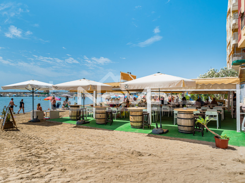 Penthouse on the first line of the beach in Torrevieja. #2023