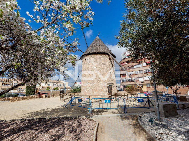 2 hálószobás apartman Torreviejában. #2027