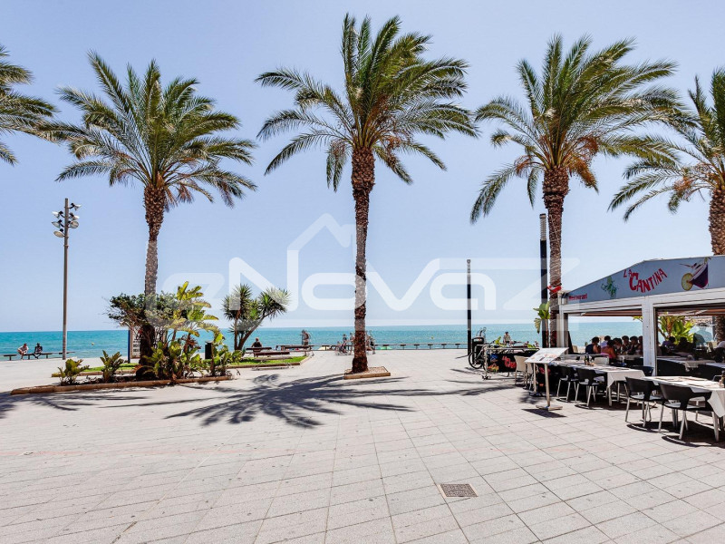 2 hálószobás apartman Torreviejában. #2027