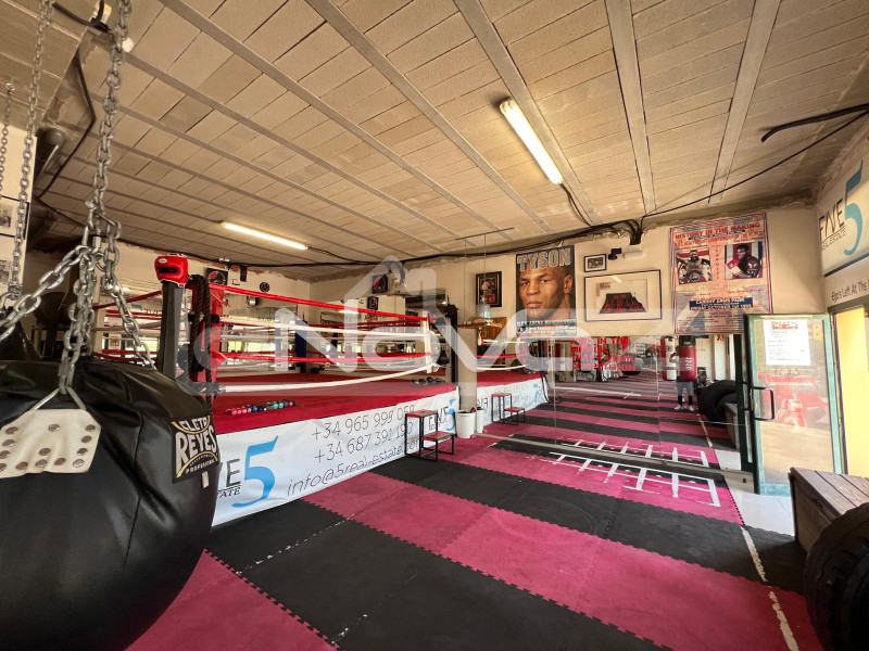 Оренда: готовий бізнес - укомплектований спортзал у Вілламартін. #2054