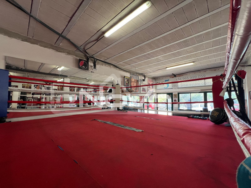 Оренда: готовий бізнес - укомплектований спортзал у Вілламартін. #2054