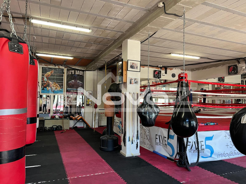 Оренда: готовий бізнес - укомплектований спортзал у Вілламартін. #2054