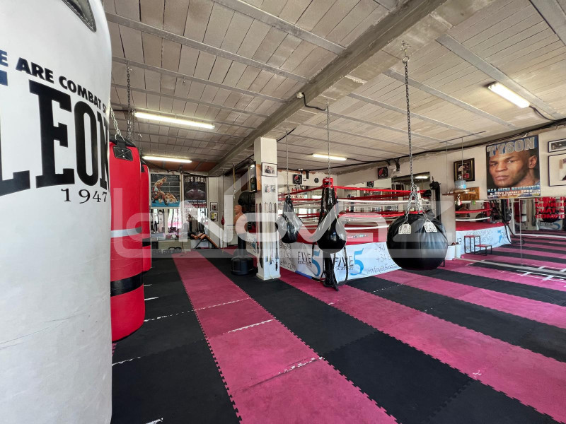 Оренда: готовий бізнес - укомплектований спортзал у Вілламартін. #2054