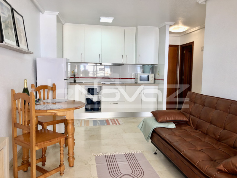 apartment 1 bedrooms Torrevieja. #584