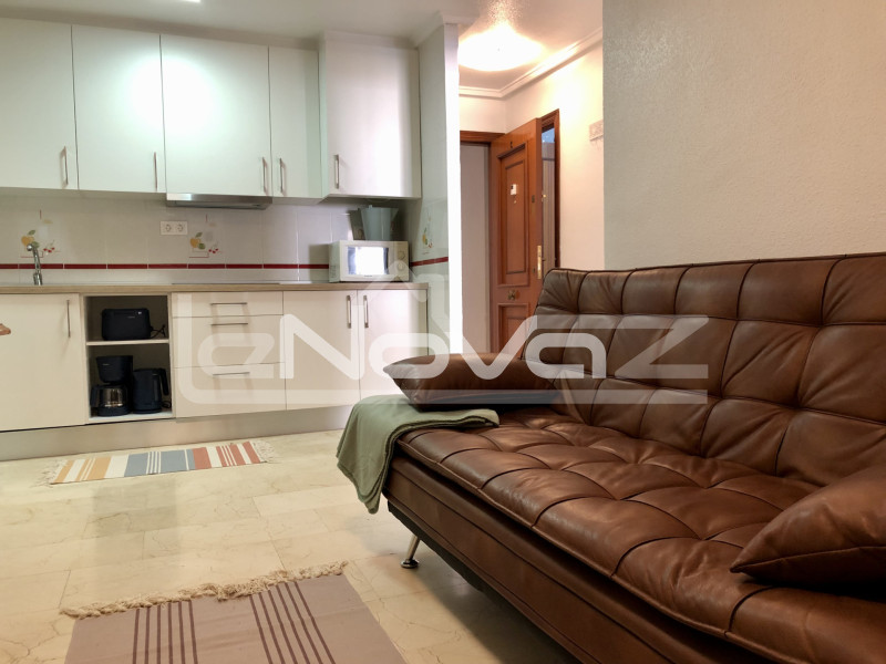 apartment 1 bedrooms Torrevieja. #584