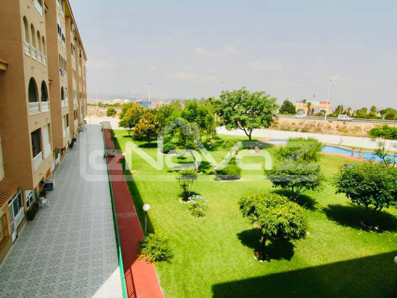 Апартаменты с 2 спальнями, террасой с видом на бассейном рядом с парком в Torrevieja.. #975