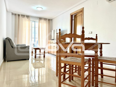 однокімнатну квартиру в Торрев'єсі